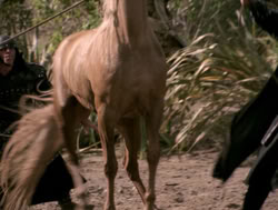 extant_XenaWarriorPrincess_4x04-InSicknessAndInHell_01363