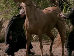 extant_XenaWarriorPrincess_4x04-InSicknessAndInHell_01365