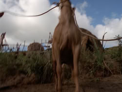 extant_XenaWarriorPrincess_4x04-InSicknessAndInHell_01398