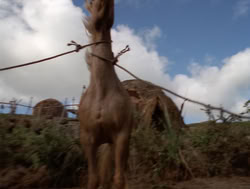 extant_XenaWarriorPrincess_4x04-InSicknessAndInHell_01400
