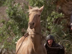 extant_XenaWarriorPrincess_4x04-InSicknessAndInHell_01422