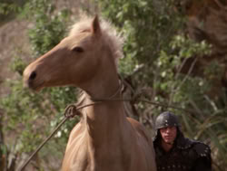 extant_XenaWarriorPrincess_4x04-InSicknessAndInHell_01423