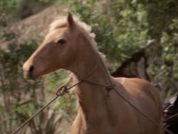 extant_XenaWarriorPrincess_4x04-InSicknessAndInHell_01424