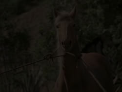 extant_XenaWarriorPrincess_4x04-InSicknessAndInHell_01428