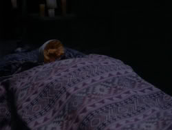 extant_XenaWarriorPrincess_4x04-InSicknessAndInHell_02099