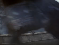 extant_XenaWarriorPrincess_4x04-InSicknessAndInHell_02289