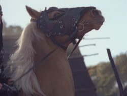 extant_XenaWarriorPrincess_4x04-InSicknessAndInHell_02305