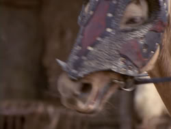extant_XenaWarriorPrincess_4x04-InSicknessAndInHell_02355