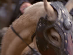 extant_XenaWarriorPrincess_4x04-InSicknessAndInHell_02356