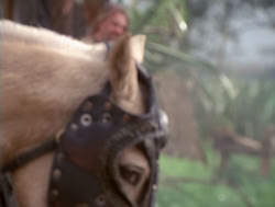 extant_XenaWarriorPrincess_4x04-InSicknessAndInHell_02357