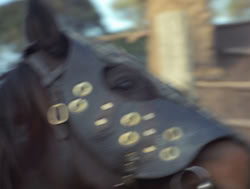 extant_XenaWarriorPrincess_4x04-InSicknessAndInHell_02399