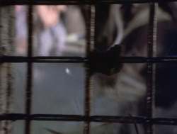 extant_XenaWarriorPrincess_4x04-InSicknessAndInHell_02438