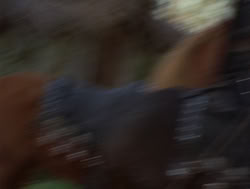 extant_XenaWarriorPrincess_4x04-InSicknessAndInHell_02442