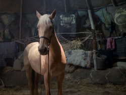 extant_XenaWarriorPrincess_4x04-InSicknessAndInHell_02684