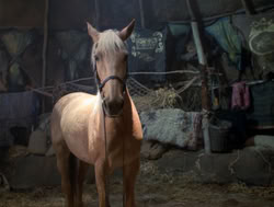 extant_XenaWarriorPrincess_4x04-InSicknessAndInHell_02685