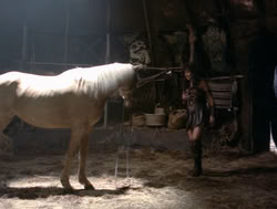 extant_XenaWarriorPrincess_4x04-InSicknessAndInHell_02697