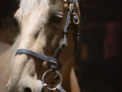 extant_XenaWarriorPrincess_4x04-InSicknessAndInHell_02713