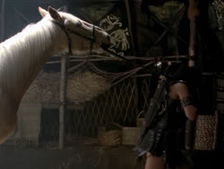 extant_XenaWarriorPrincess_4x04-InSicknessAndInHell_02754