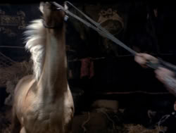 extant_XenaWarriorPrincess_4x04-InSicknessAndInHell_02769