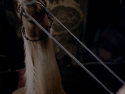 extant_XenaWarriorPrincess_4x04-InSicknessAndInHell_02797