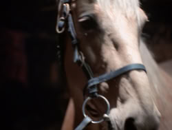 extant_XenaWarriorPrincess_4x04-InSicknessAndInHell_02895