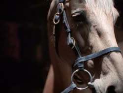 extant_XenaWarriorPrincess_4x04-InSicknessAndInHell_02896