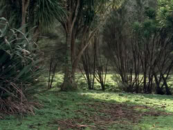 extant_XenaWarriorPrincess_4x04-InSicknessAndInHell_02958