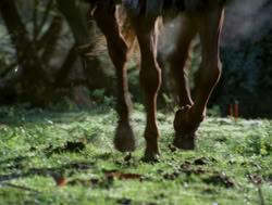 extant_XenaWarriorPrincess_4x04-InSicknessAndInHell_02965
