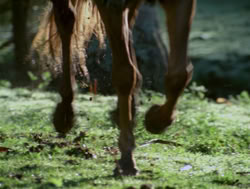extant_XenaWarriorPrincess_4x04-InSicknessAndInHell_02966