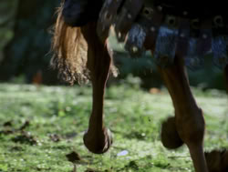 extant_XenaWarriorPrincess_4x04-InSicknessAndInHell_02967