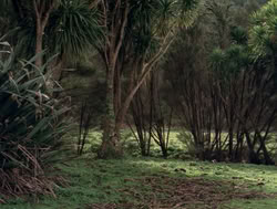extant_XenaWarriorPrincess_4x04-InSicknessAndInHell_02977