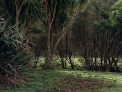 extant_XenaWarriorPrincess_4x04-InSicknessAndInHell_02978