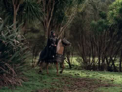 extant_XenaWarriorPrincess_4x04-InSicknessAndInHell_02982