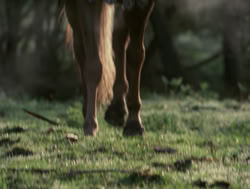 extant_XenaWarriorPrincess_4x04-InSicknessAndInHell_02985