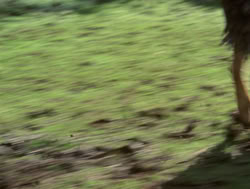 extant_XenaWarriorPrincess_4x04-InSicknessAndInHell_03060