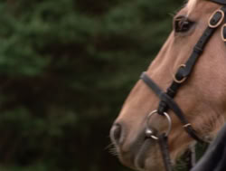 extant_XenaWarriorPrincess_4x04-InSicknessAndInHell_03148