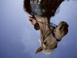 extant_XenaWarriorPrincess_4x04-InSicknessAndInHell_03236