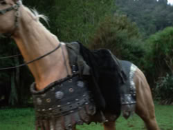extant_XenaWarriorPrincess_4x04-InSicknessAndInHell_03264
