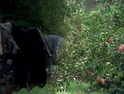 extant_XenaWarriorPrincess_4x04-InSicknessAndInHell_03265