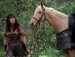 extant_XenaWarriorPrincess_4x04-InSicknessAndInHell_03312