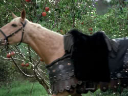 extant_XenaWarriorPrincess_4x04-InSicknessAndInHell_03314