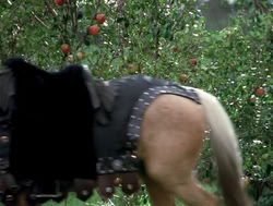 extant_XenaWarriorPrincess_4x04-InSicknessAndInHell_03315
