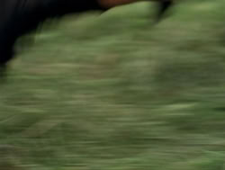 extant_XenaWarriorPrincess_4x05-AGoodDay_01253