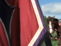 extant_XenaWarriorPrincess_4x05-AGoodDay_01338