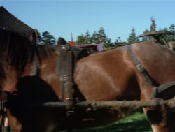extant_XenaWarriorPrincess_4x05-AGoodDay_01341
