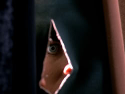 extant_XenaWarriorPrincess_4x05-AGoodDay_01662