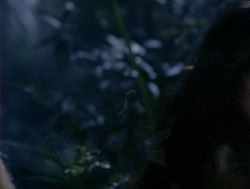 extant_XenaWarriorPrincess_4x05-AGoodDay_01900