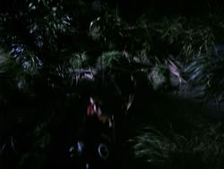 extant_XenaWarriorPrincess_4x05-AGoodDay_02170