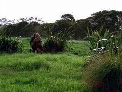 extant_XenaWarriorPrincess_4x05-AGoodDay_02231