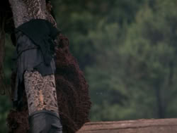 extant_XenaWarriorPrincess_4x05-AGoodDay_02466